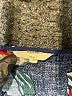 Entro 100% Rayon Floral Blue Casual Dress Size M - photo 7