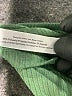 Adore Me Green Short Sleeve T-Shirt Size 1X - photo 8