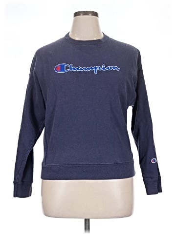 Champion Sweatshirt (view 1)