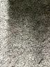 Flora Nikrooz Print Blue Shorts Size M - photo 4
