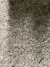 Flora Nikrooz Print Blue Shorts Size M - photo 5