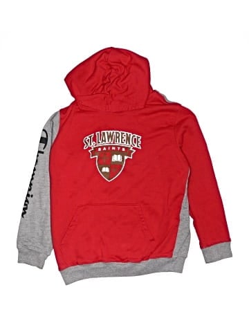 Champion Pullover Hoodie (view 1)