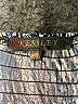 Kessley Animal Print Blue Casual Dress Size S - photo 4
