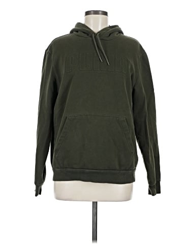 Puma Pullover Hoodie (view 1)