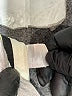 Theory Gray Dress Pants Size 6 (estimated) - photo 8
