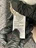 Gap Brown Khakis Size 32 waist - photo 8