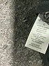 C9 By Champion Black Active Tank Size L - photo 8