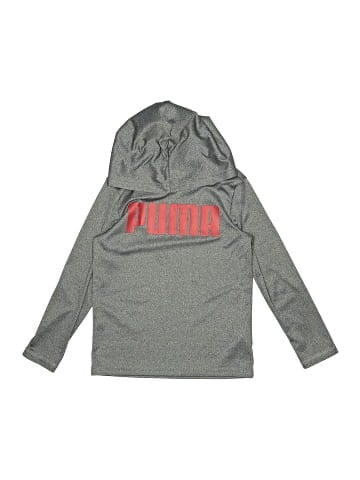 Puma Pullover Hoodie (view 1)