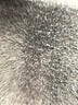 Mainstream Animal Print Ivory One Piece Swimsuit Size 14 - photo 3