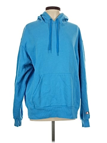 Champion Pullover Hoodie (view 1)
