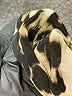 Guess Animal Print Silver Cocktail Dress Size XS - photo 8