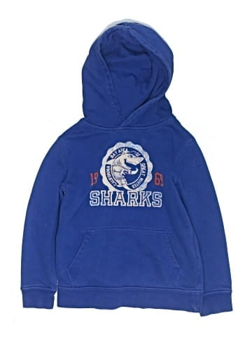 Gap Kids Pullover Hoodie (view 1)
