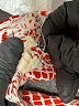 Envi: Red Casual Dress Size L - photo 8