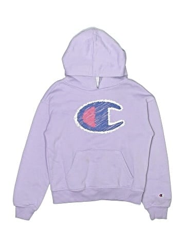 Champion Pullover Hoodie (view 1)