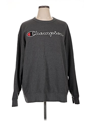 Champion Sweatshirt (view 1)