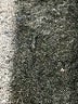 Apana Solid Gray Purple Active Pants Size S - photo 11