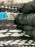 Alice + Olivia 100% Wool Black Wool Cardigan Size M - photo 9