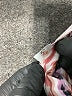 Lefties Paisley Red Casual Dress Size M - photo 7