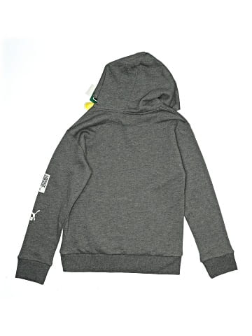 Puma Zip Up Hoodie (view 2)