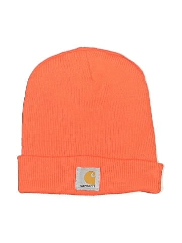 Carhartt Beanie (view 1)