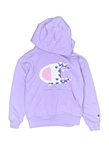 Champion Sweatshirt (view 1)