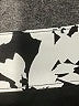 Ann Taylor LOFT Print Black Formal Skirt Size 10 - photo 4