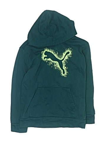 Puma Pullover Hoodie (view 1)