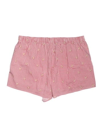 Hollister Shorts (view 2)