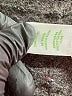 Lilly Pulitzer Pink Track Jacket Size XL - photo 7