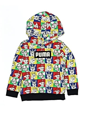 Puma Pullover Hoodie (view 1)