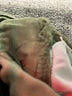 Coldwater Creek Green Jeggings Size 4 - photo 8