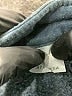 Athleta Teal Coat Size S - photo 6