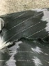 Love Chesley 100% Polyester Black Kimono Size 2X - photo 9