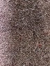 Lee Green Jeggings Size 16 - photo 4