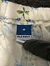 Old Navy Floral Ivory Shorts Size M - photo 3