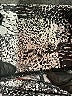 Zella Print Silver Active Pants Size XXS - photo 4
