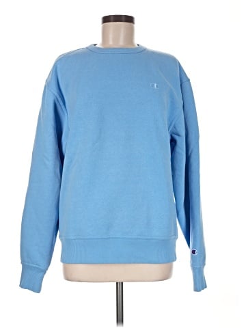 Champion Sweatshirt (view 1)