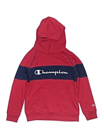 Champion Pullover Hoodie (view 1)