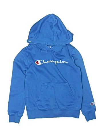 Champion Pullover Hoodie (view 1)