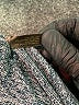 The Limited Gray Pullover Sweater Size S - photo 8
