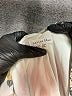 Bailey Blue 100% Polyester Print Ivory Casual Dress Size M - photo 7
