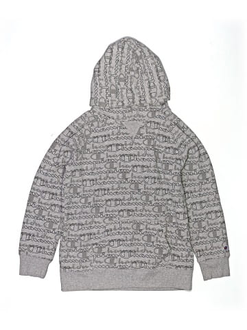 Champion Pullover Hoodie (view 1)