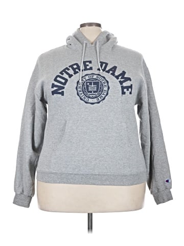 Champion Pullover Hoodie (view 1)