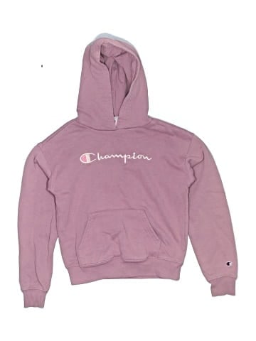 Champion Pullover Hoodie (view 1)