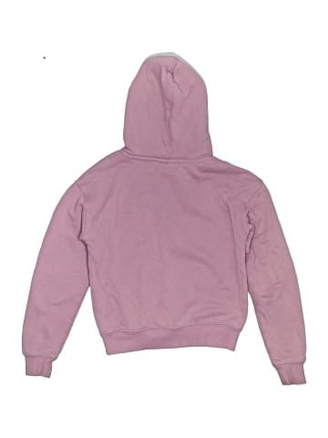 Champion Pullover Hoodie (view 2)