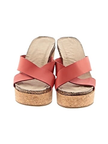 Reaction Wedges (view 2)