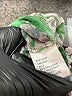 Tiny Green Sleeveless Blouse Size S - photo 8