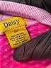 Daisy Pink Track Jacket Size 2X - photo 7