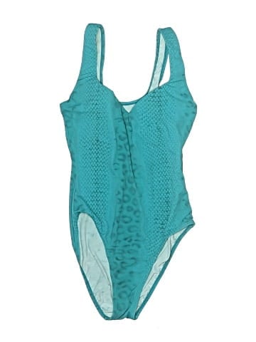 Sun Streak by Newport News One Piece Swimsuit (view 1)