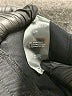 Danskin Black Track Pants Size L - photo 9
